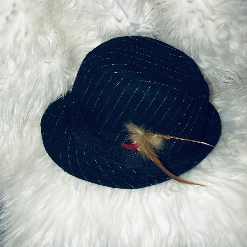 Fedora style Hat ( black white stripped feathers)